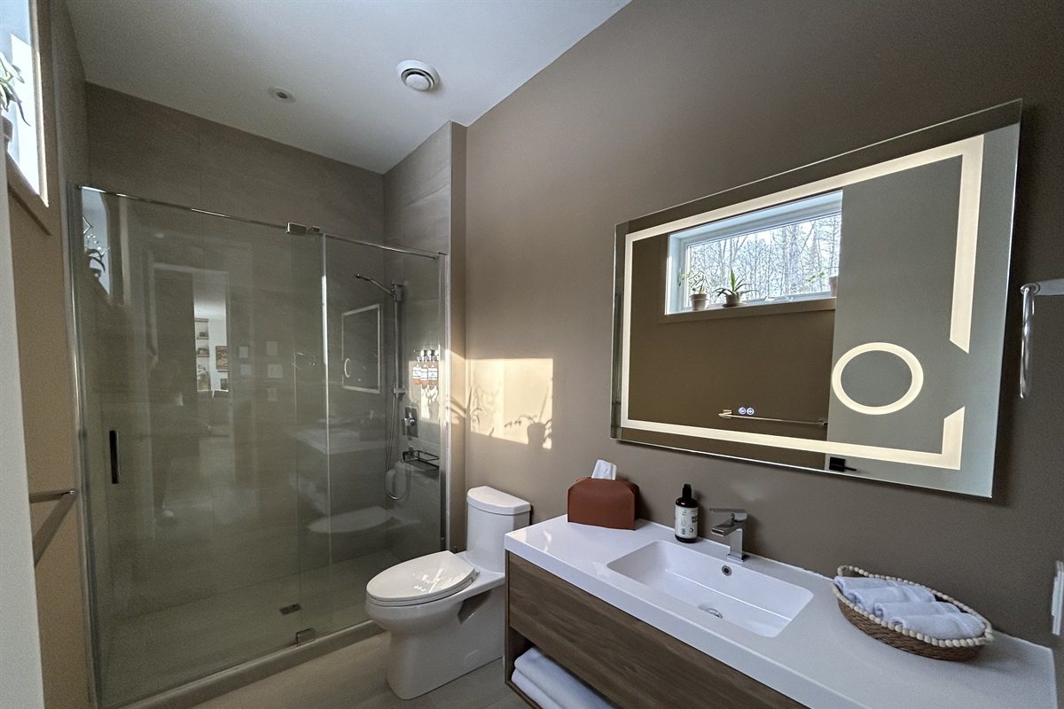 La salle de bain de la suite king 1, miroir lumineux et douche vitrée